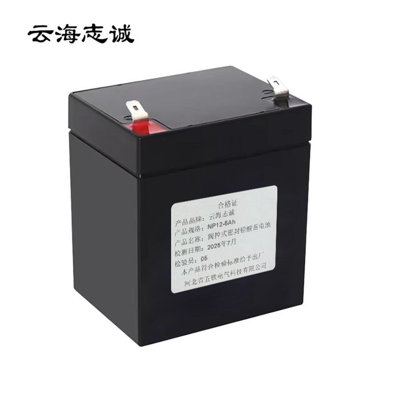阀控式密封铅酸蓄电池 NP12-5Ah 1只高清大图