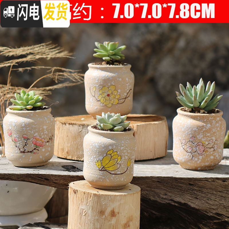 三维工匠陶瓷特小号多肉植物多色套装控型迷你多肉拇指肉肉花盆创意浅墨绿色中小花盆容器报价 参数 图片 视频 怎么样 问答 苏宁易购