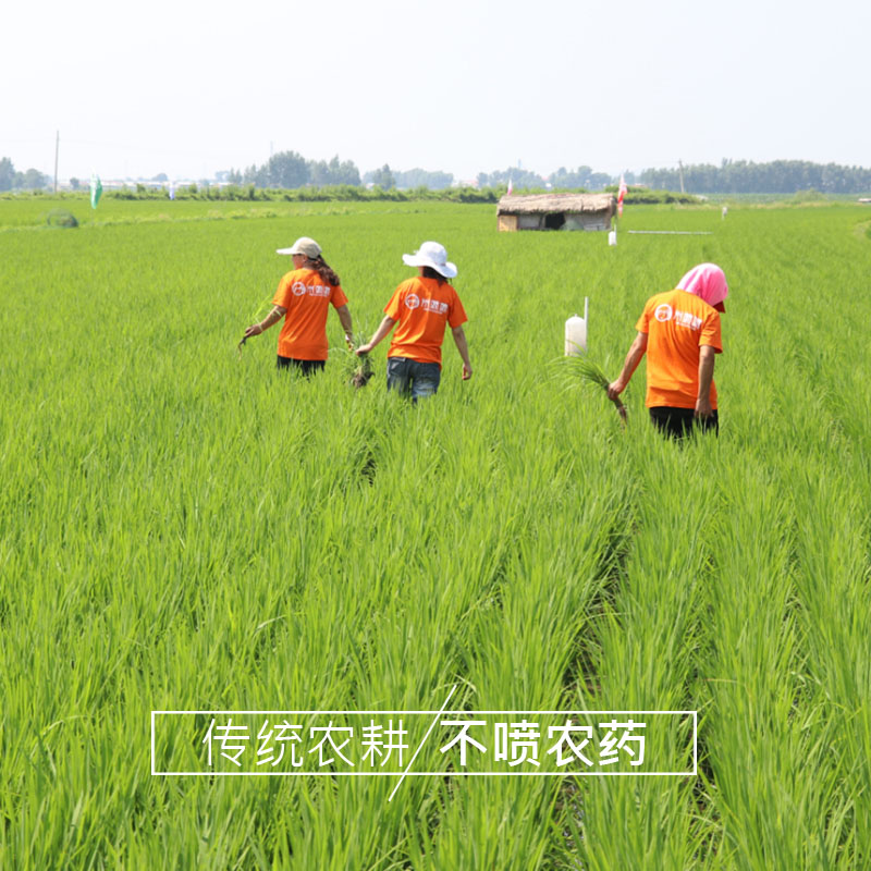 米妹妹 东北鲜香贡米 2.5kg高清大图