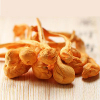 虫花精选正品干货无硫孢子头北金蛹虫煲汤材料500g