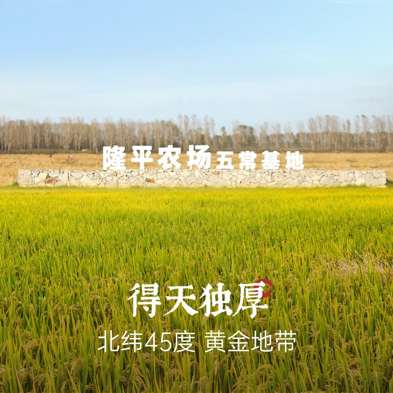 隆平芯米 五常大米 五常龙凤香米 5kg(单位:袋)高清大图