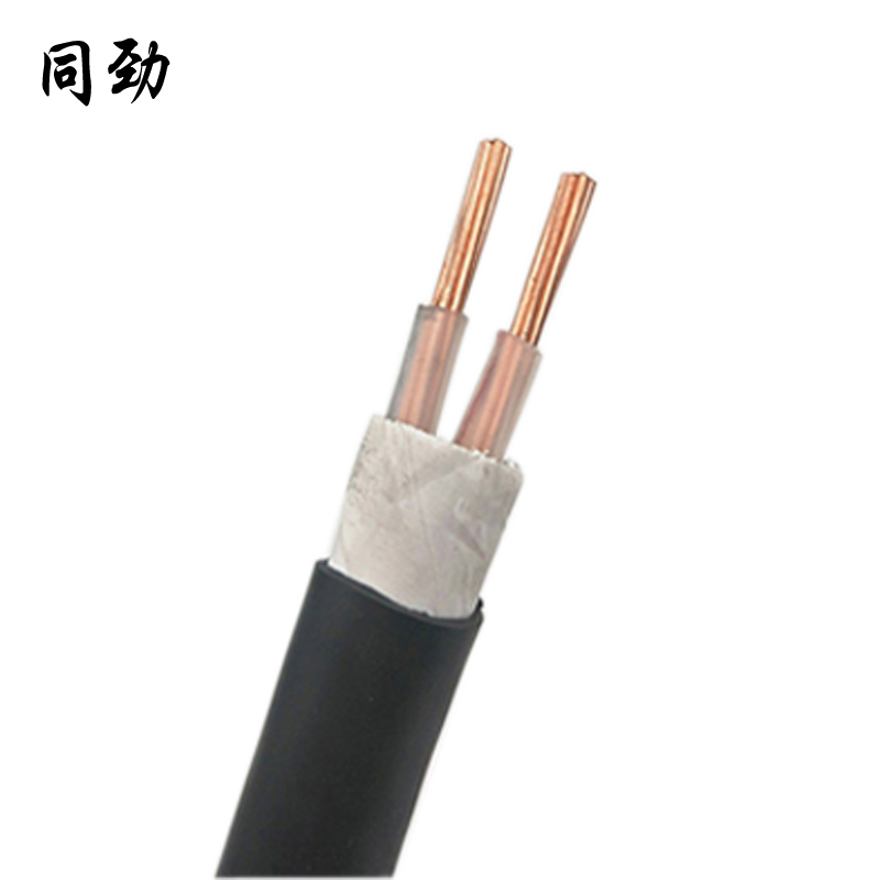 同劲 铜芯铠装硬电缆 ZR-YJV22 2*1.5mm²/米高清大图