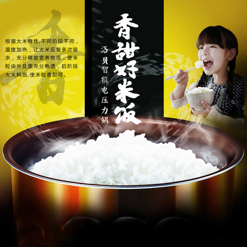 洛贝(Luby)Y50-90WK1阿迪锅微电脑按键式电压力锅双胆智能压力锅煲电高压锅5L容量3-6人使用