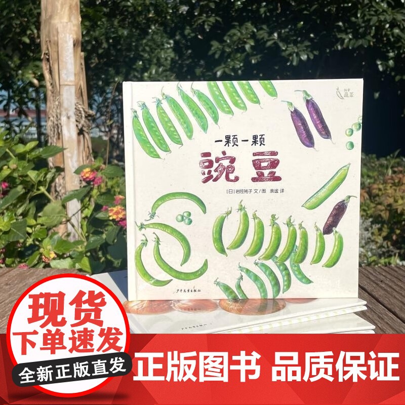 一颗一颗豌豆精装硬壳麦田精选图画书适合3-6周岁植物蔬菜科普绘本少年儿童出版社正版高清大图