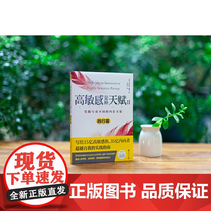 高敏感是种天赋2(践行篇)发掘与众不同的内在力量 伊尔斯·桑德 北京联合出版有限公司 正版书籍高清大图