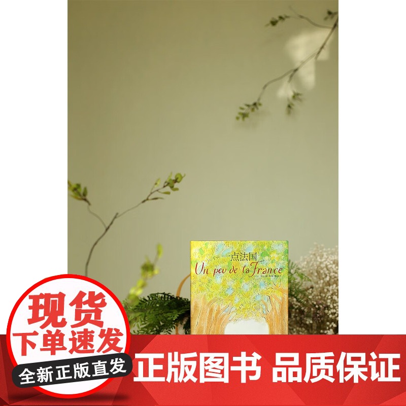 一点法国 桑贝系列精装全彩印刷法国文学上海译文出版社外国随笔作品集系列另有一点巴黎高清大图
