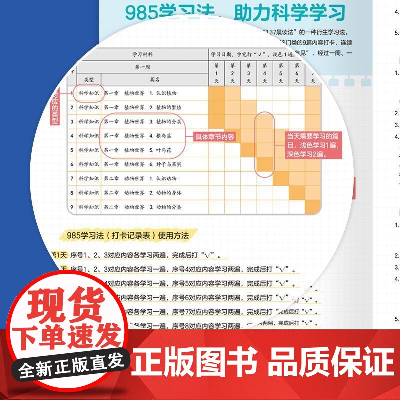 [抖音同款]漫画小学生常考科学知识 985学习法助力孩子科学记忆科学知识必背百科常识中国文化1000问世界文学考点积累素高清大图