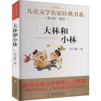 儿童文学名家经典书系《大林和小林》