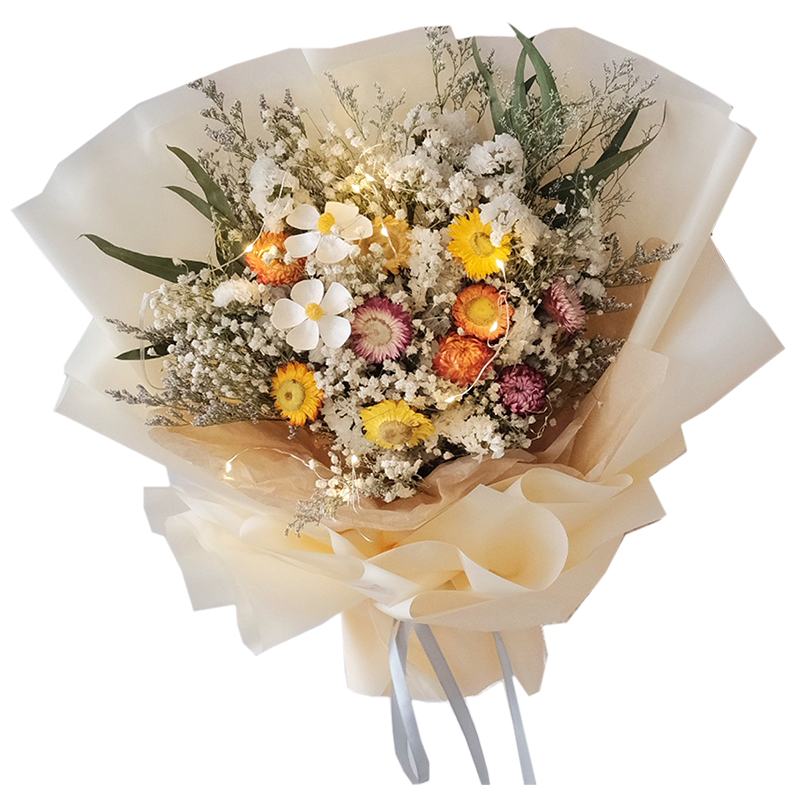 森系干花花束清新小雏菊满天星永生花礼品送男友永生花