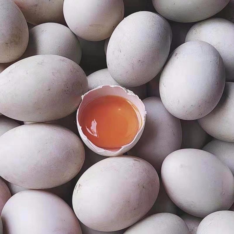 新鲜土鸭蛋鸭蛋土鸭蛋 现发绿壳生鸭蛋新鲜 红心鸭蛋