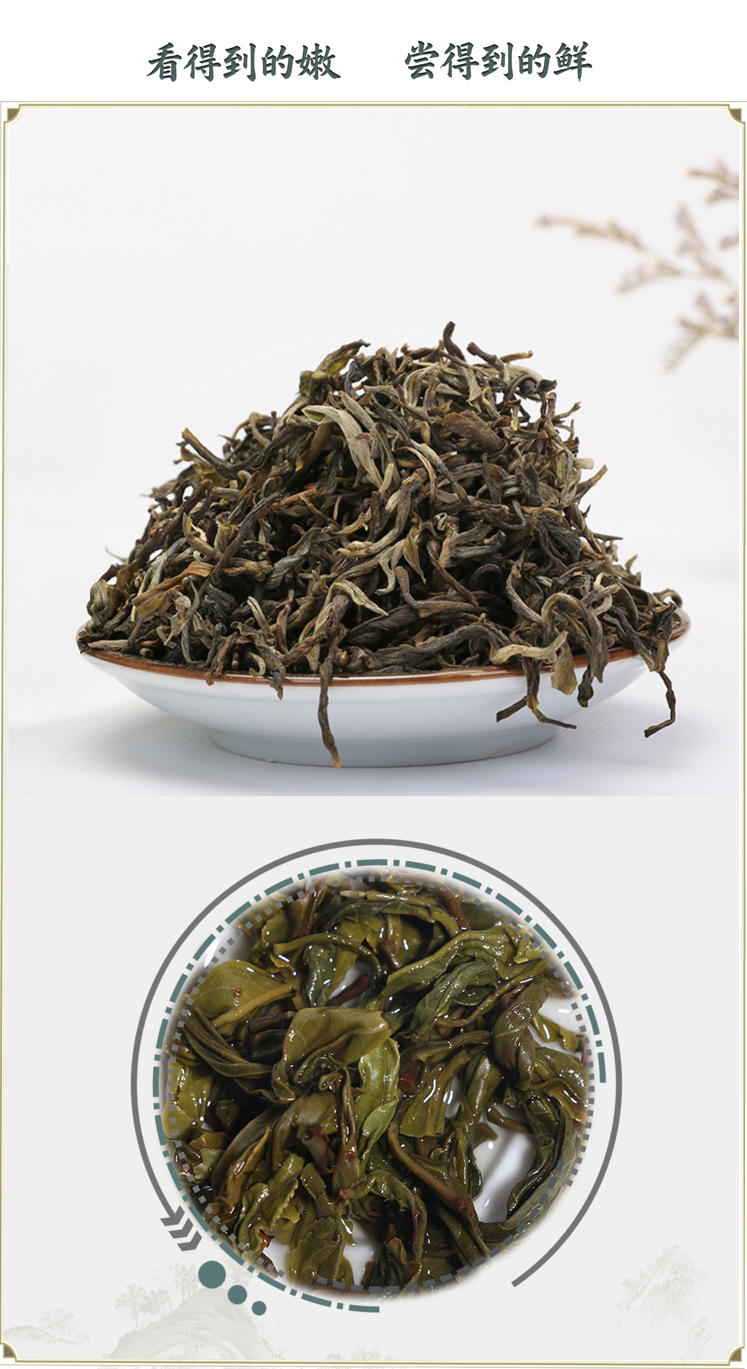 铭思达碧云仙高山滇绿茶高清大图
