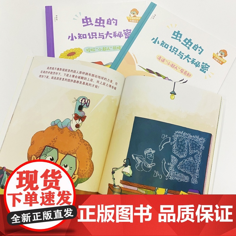 [正版]神秘岛 虫虫的小知识与大秘密(全3册) 4-9岁 科普百科 趣味科普 科普绘本 虫类知识 广西师范大学出版社高清大图