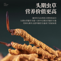 雪神 冬虫夏草专柜正品高档红木礼盒包装 西藏那曲头期短把子野生净制虫草1根1瓶装 多倍吸收