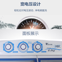 （乡镇可到）小天鹅 (LittleSwan) TP85-S955/8.5公斤大容量 双缸洗衣机 双桶洗衣机 半自动家用