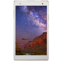 联想（Lenovo）8804F 小新平板 8英寸 4G内存 64GB存储 香槟金 指纹识别 安卓 轻薄 便携 娱乐 游戏 视频 音乐平板电脑 骁龙625 真八核
