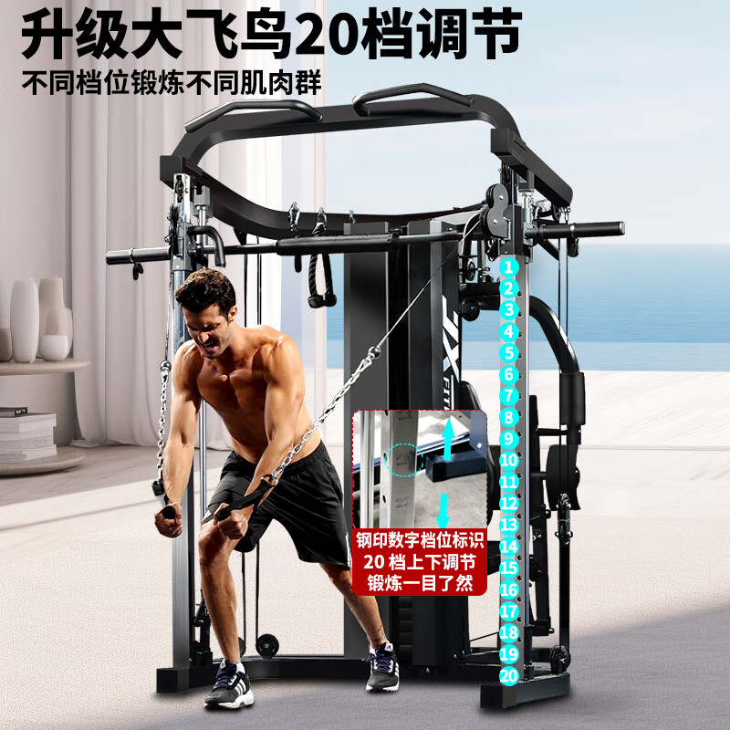 军霞(JUNXIA) 综合巡练器大型运动器械家用健身器龙门架大飞鸟史密斯机深蹲架 DZ305+铃片+凳+包上楼+包装高清大图