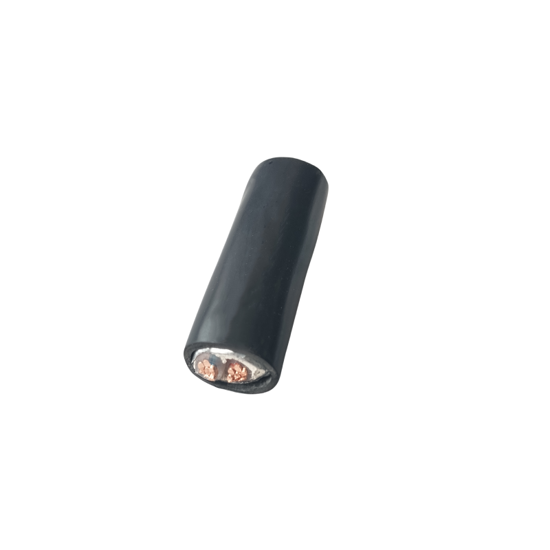 津达线缆 钢带铠装电力电缆电压0.6/1kv YJV22-2*10mm² 米
