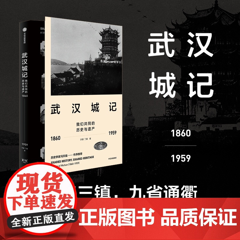 武汉城记 许颖 著 社会科学高清大图