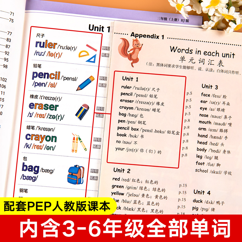 [全5册]背单字+英语知识点手抄笔记 小学通用 [正版]抖音同款 小学生你得这样背单词 小学英语单词记背神器词汇卡片内容