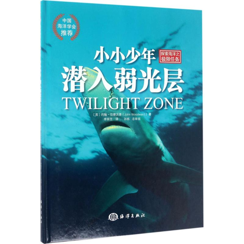 醉染图书小小少年9787502797218