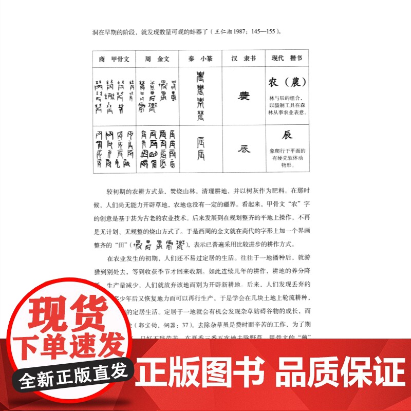 中国古代社会 文字与人类学的透视甲骨学名家中国好书获奖作者许进雄著作世纪文景中国文化古文字汉字解析古代社会生活百科全书高清大图