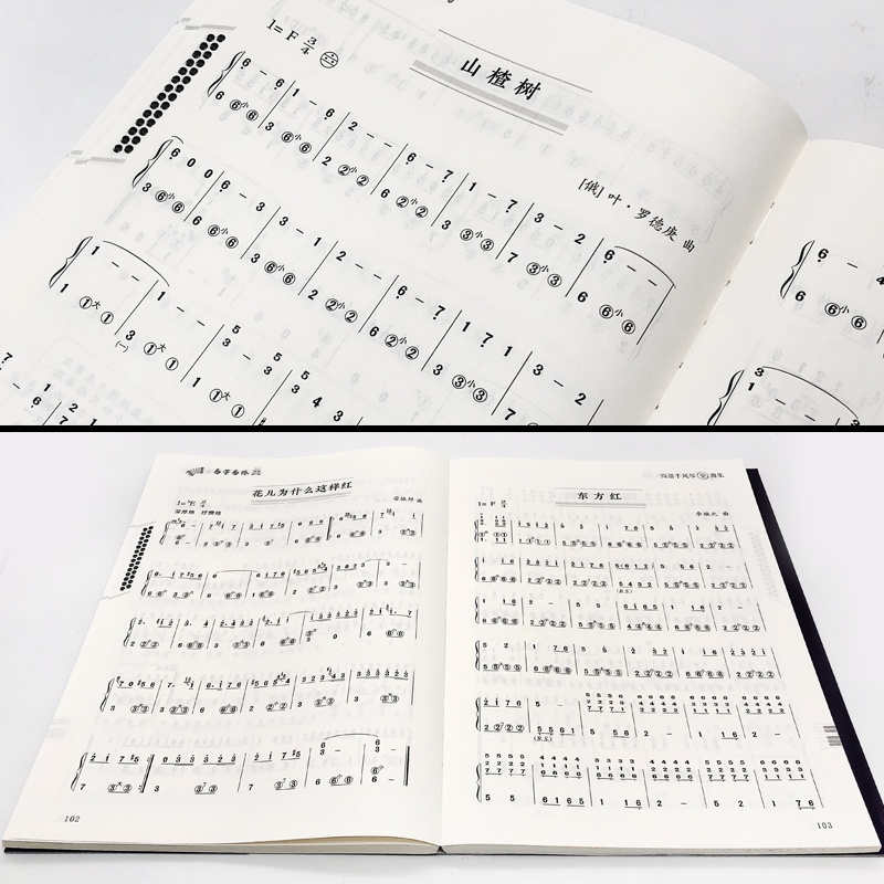 [正版]易学易练简谱手风琴流行金曲集 流行金曲合集 手风琴民歌 戏曲唱段 新老红歌 古典名作 独奏歌曲 北京积体育大学高清大图