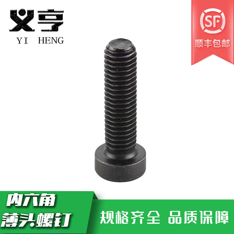 义亨 内六角薄头螺钉 M6*12 百个