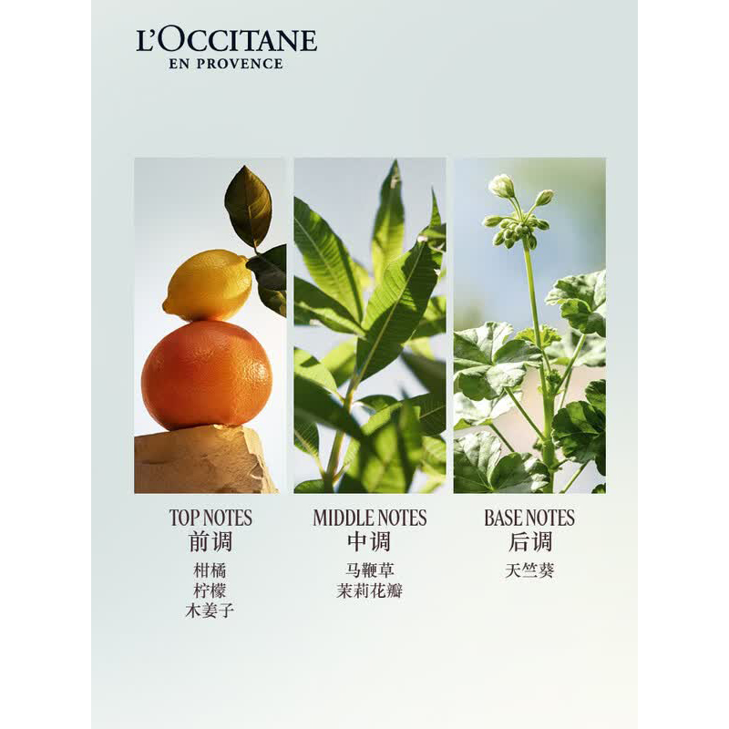 欧舒丹果漾马鞭草香氛润手凝霜 30ML高清大图