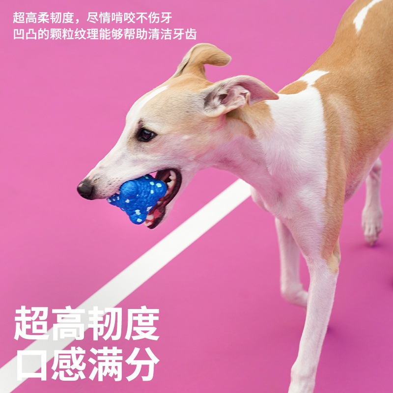 ZEZE分子宠物球(蓝色分子)(小号) ETPU(狗玩具)Z1C00286高清大图
