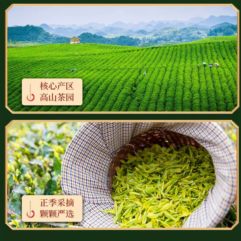 痴福碧螺春绿茶新茶叶正宗明前春茶花果香高山云雾散装1罐125克高清大图