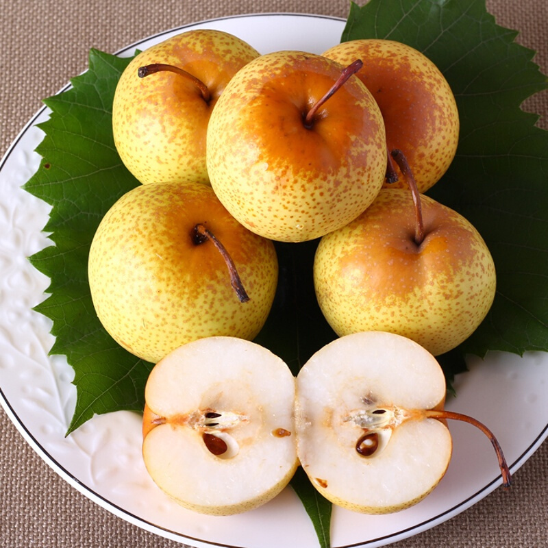 东北特产新鲜花盖梨 2.5kg 软梨梨子冻梨 新鲜水果 大果 16-22个