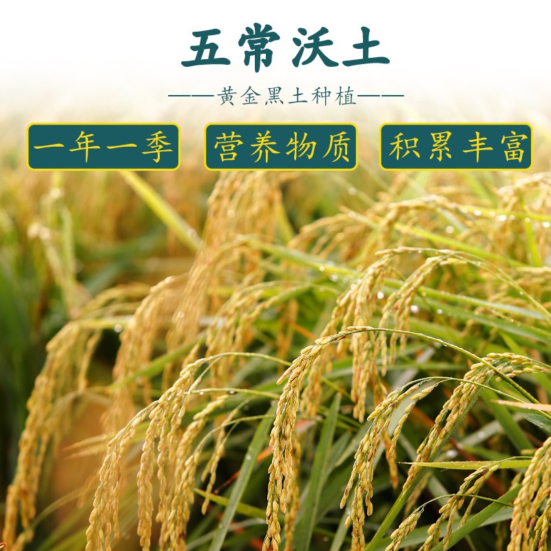 十月稻田(SHIYUEDAOTIAN)黄金产地寒地之最五常大米5kg高清大图