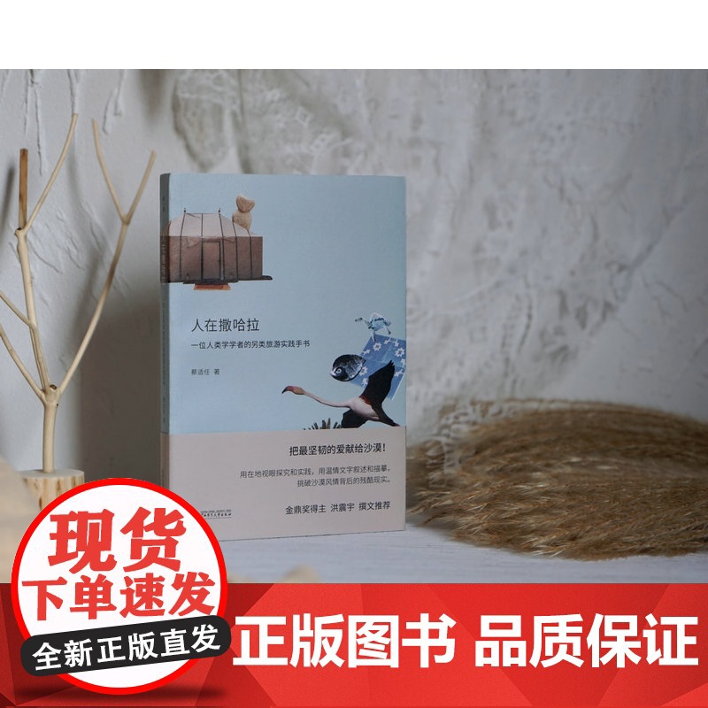 人在撒哈拉:一位人类学学者的另类旅游实践手书 蔡适任/著 文化 随笔 女性 励志 广西师范大学出版社高清大图