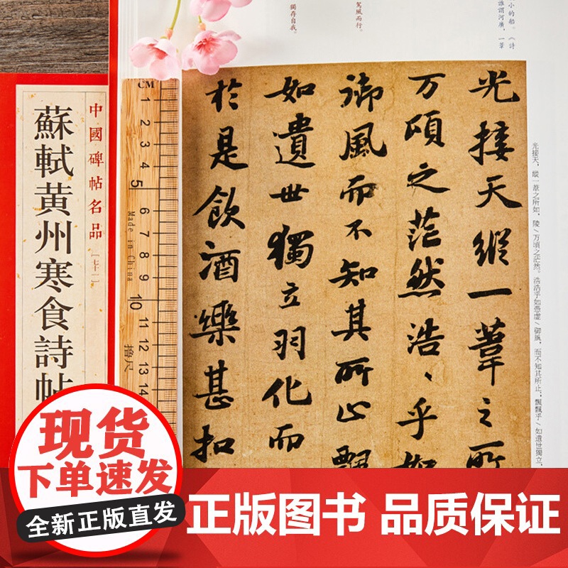 苏轼尺牍名品/苏轼黄州寒食诗帖赤壁赋 中国碑帖名品上海书画出版社 书法篆刻毛笔字练习字帖名家高清高清大图