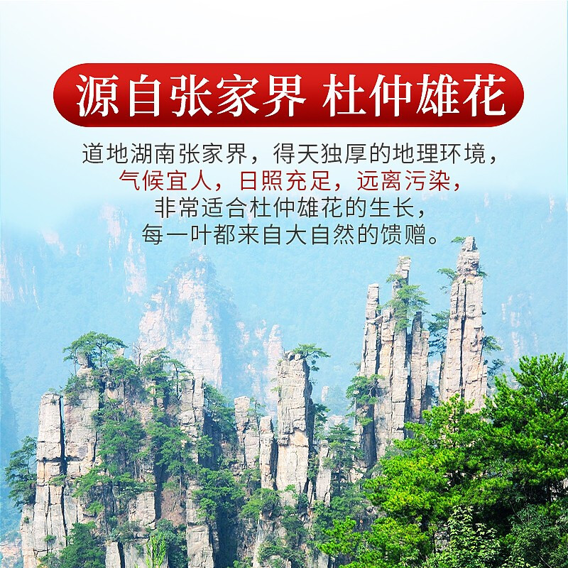 庄民杜仲雄花50g/罐 杜仲雄花茶 张家界高品质精选好货 男士男人老公茶养生茶饮官方旗舰店高清大图