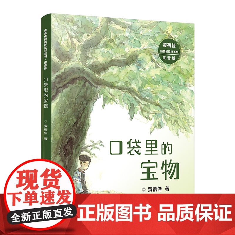 黄蓓佳倾情桥梁书系列(注音版):口袋里的宝物高清大图