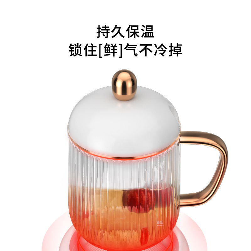 生活元素(LIFE ELEMENT)养生壶I161迷你电热杯 《姐姐的爱乐之程》芒果TV&生活元素联名款宁静杯养生电炖杯