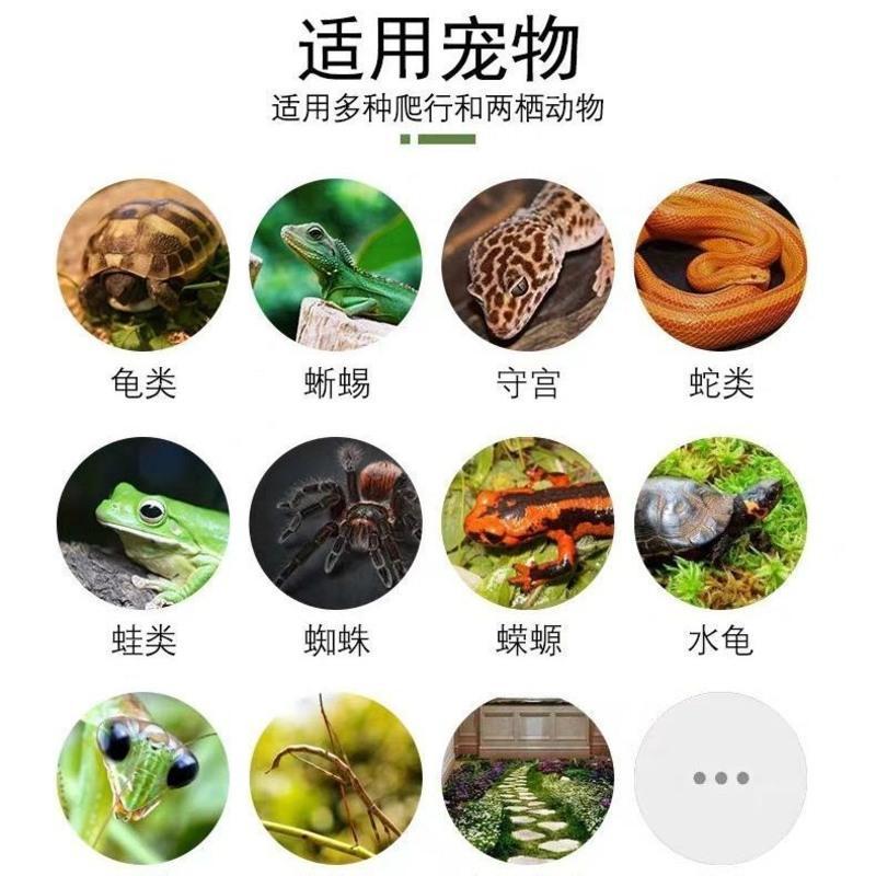 角蛙树蛙垫材莫斯地毯雨林缸造景地垫爬虫饲养箱地垫陆龟蜥蜴垫材 中号饲养盒尺寸22*14.5