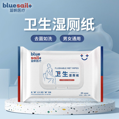 蓝帆 湿厕纸除菌液体湿擦卫生湿巾湿纸巾洁厕40片