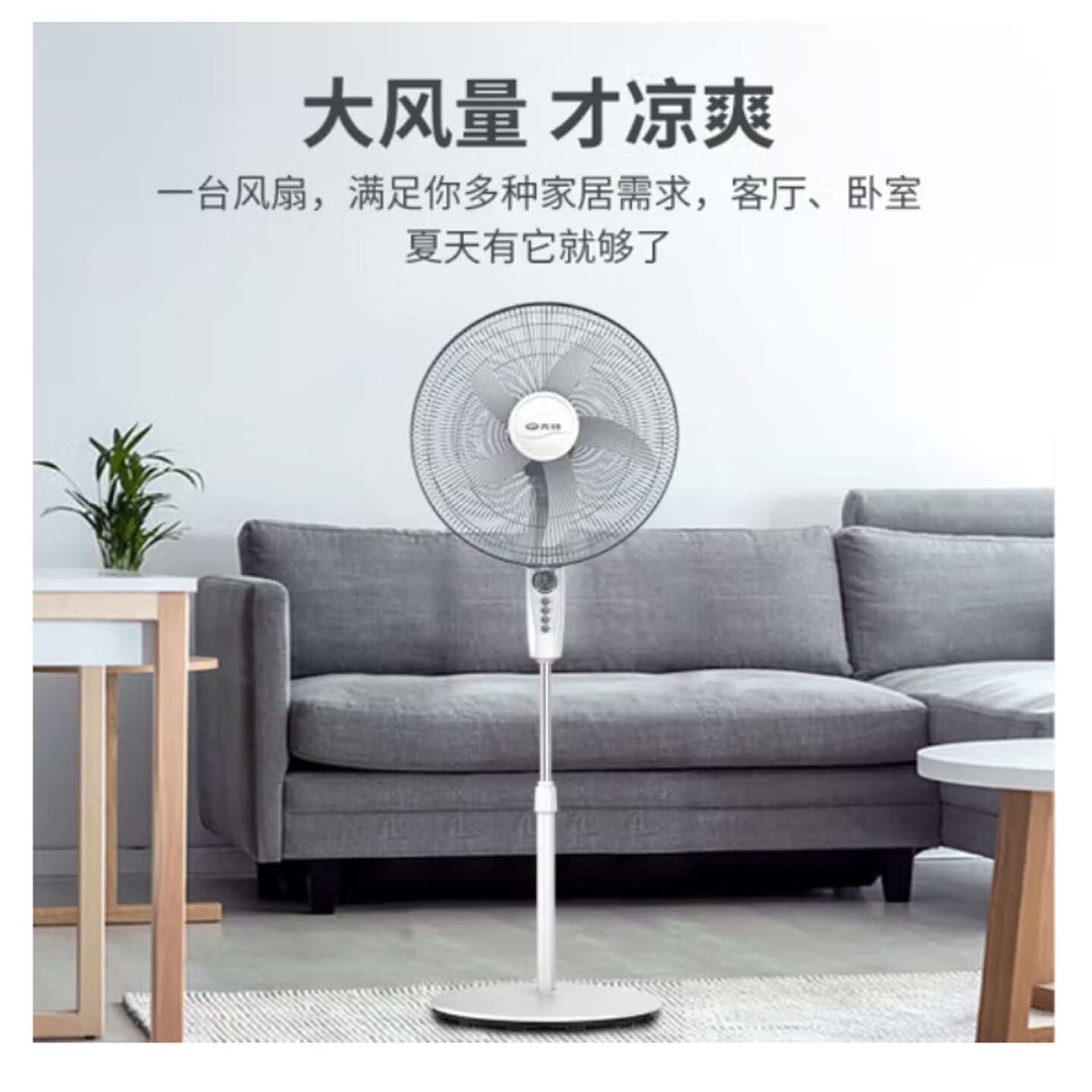 先锋(SINGFUN) 电风扇 落地扇家用立式大风量电扇客厅宿舍风扇 FS45-21A高清大图