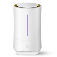 格力(GREE)加湿器SC-40X66家用低音迷你增湿器上加水卧室孕妇婴儿空气香薰办公室4L大容量加湿机