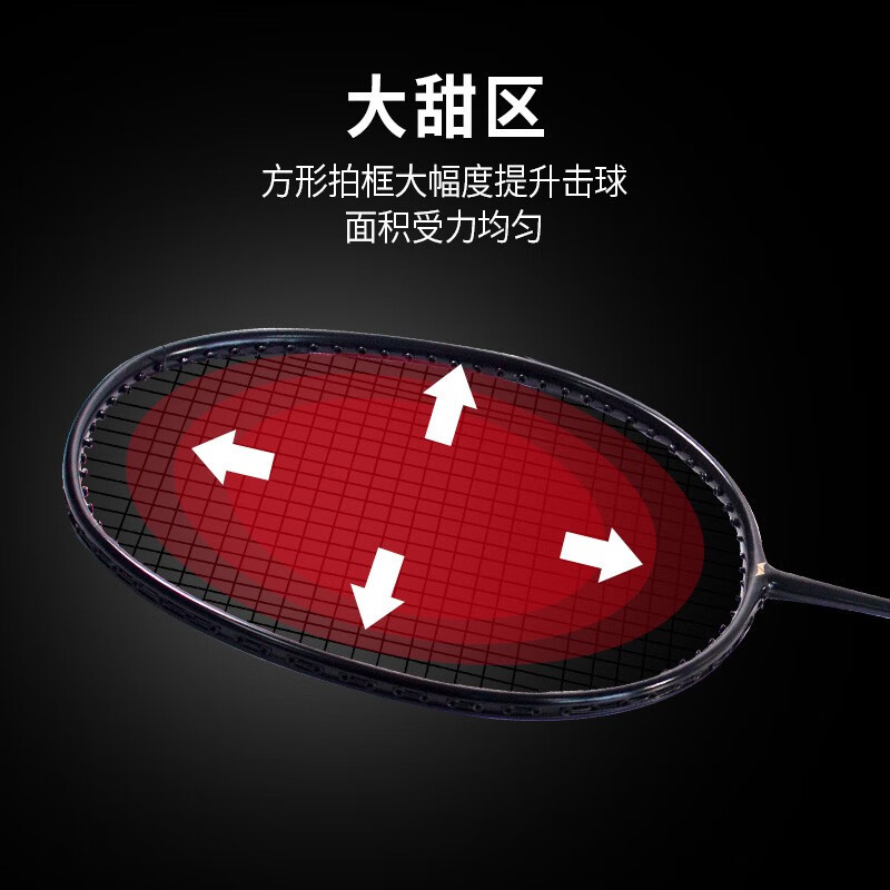 何大屋 羽毛球拍成人健身羽毛球拍羽毛球训练 羽毛球拍套装HDW130801高清大图