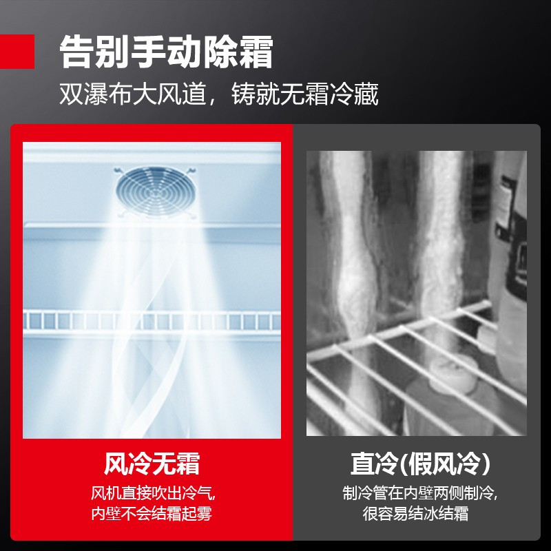德玛仕(DEMASHI)风冷无霜展示柜冷藏立式商用 便利店啤酒饮料保鲜柜1100FH-2G(除雾款)