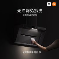 小米(Mi)米家智能净烟机P2家用油烟机厨房欧式侧吸大功率吸力吸油机智能变频一级能效CXW-165-MJ06CY