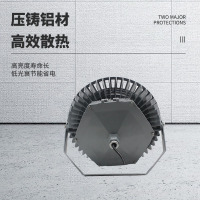 明特佳-Mintega ZPD9508-L200 LED平台灯 200W 灰色 (单位:套)
