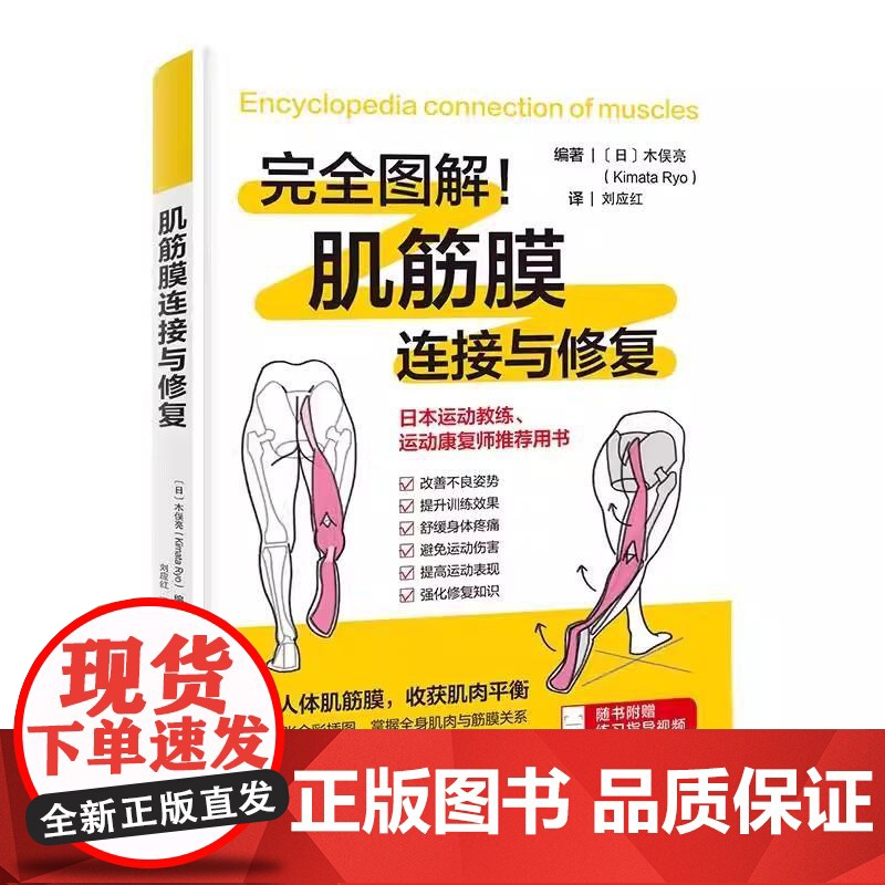 肌筋膜连接与修复改善不良姿势提升训练效果舒缓身体疼痛强化修复知识校正人体肌筋膜120张全彩插图 北京科学技术出版社高清大图