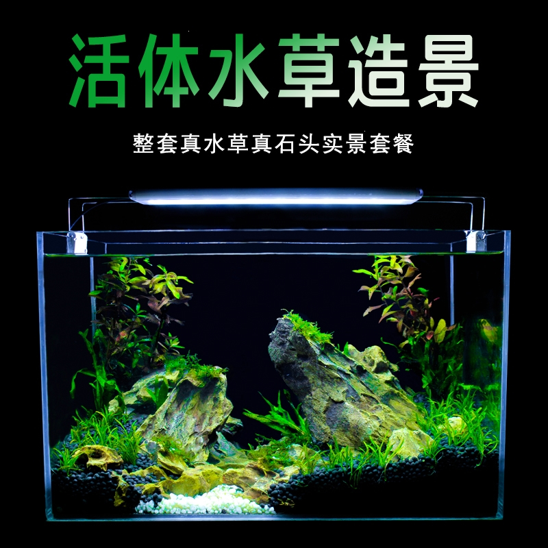 定制真水草米妮鱼缸水族箱小型客厅办公室桌面家用生态草缸装饰布造景套餐报价 参数 图片 视频 怎么样 问答 苏宁易购