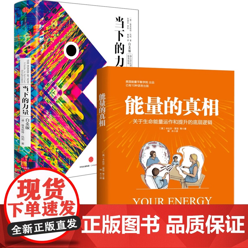 能量的真相+当下的力量 卡比尔·贾菲 著 心理学高清大图