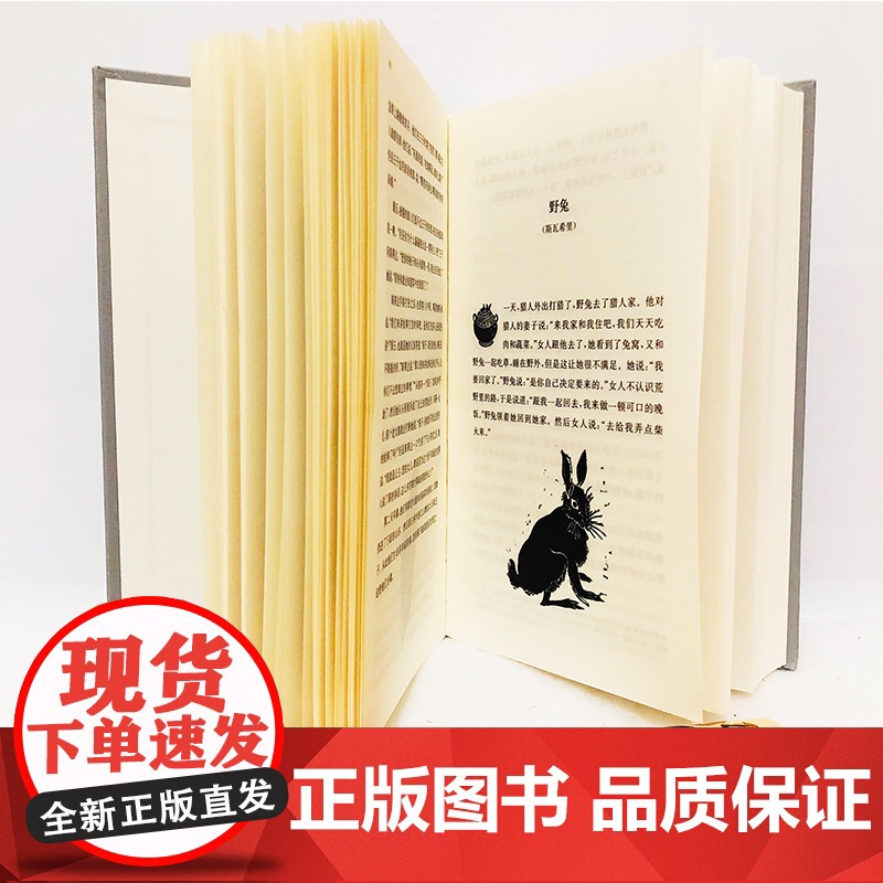 [正版书籍]安吉拉·卡特的精怪故事集 奇异诡谲的睡前故事 外国现当代文学小说图书籍 各国精怪故事小说正版书高清大图