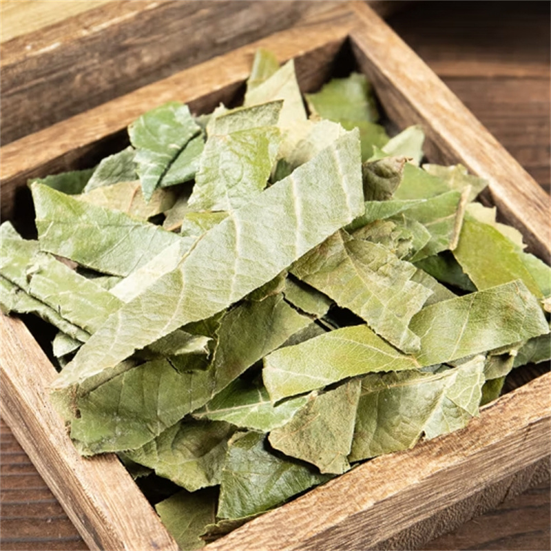 甄选枇杷叶100克干货正品新货枇杷叶干货生枇杷叶新货枇杷叶煮水泡茶高清大图